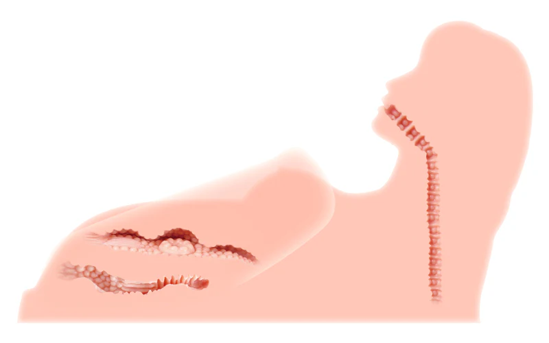 Thumbnail 12